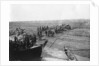 British troops unloading dates on the shore of the Tigris river by Anonymous