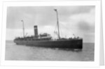 SS Duke of Connaught, Fleetwood-Belfast service by Anonymous