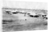 1/5 RWR battalion camp, Samarra, Mesopotamia by Anonymous