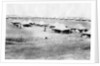1/5 RWR battalion camp, Samarra, Mesopotamia by Anonymous