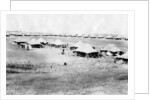 1/5 RWR battalion camp, Samarra, Mesopotamia by Anonymous