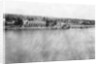The Tigris River from the 31st British general hospital, Baghdad, Mesopotamia, WWI by Anonymous