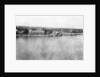 The Tigris River from the 31st British general hospital, Baghdad, Mesopotamia, WWI by Anonymous
