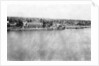 The Tigris River from the 31st British general hospital, Baghdad, Mesopotamia, WWI by Anonymous