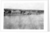 The Tigris River from the 31st British general hospital, Baghdad, Mesopotamia, WWI by Anonymous