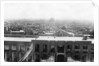 View of Baghdad from a block tower, 31st British general hospital, Mesopotamia, WWI by Anonymous