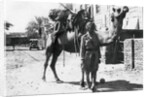 Indian camel trooper, Baghdad by Anonymous