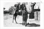 Indian camel trooper, Baghdad by Anonymous