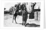 Indian camel trooper, Baghdad by Anonymous