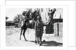Indian camel trooper, Baghdad by Anonymous