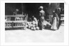 Fruit stall, Baghdad, Mesopotamia, WWI by Anonymous