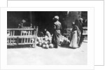 Fruit stall, Baghdad, Mesopotamia, WWI by Anonymous