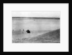 Tigris River, Samarra, Mesopotamia by Anonymous