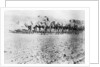 Camel train, Mosul, Mesopotamia by Anonymous