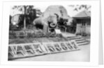 Elephant statue, Victoria Gardens, Bombay, India by Anonymous