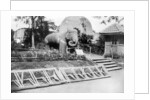 Elephant statue, Victoria Gardens, Bombay, India by Anonymous