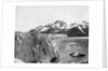 Muir Glacier, Alaska, USA by John L Stoddard
