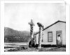 Totem Poles, Alaska, USA by John L Stoddard