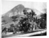 Botanical Gardens and Mount Corcovado, Rio De Janeiro, Brazil by John L Stoddard