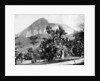 Botanical Gardens and Mount Corcovado, Rio De Janeiro, Brazil by John L Stoddard
