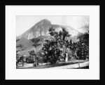 Botanical Gardens and Mount Corcovado, Rio De Janeiro, Brazil by John L Stoddard