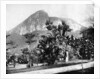Botanical Gardens and Mount Corcovado, Rio De Janeiro, Brazil by John L Stoddard