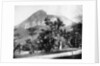 Botanical Gardens and Mount Corcovado, Rio De Janeiro, Brazil by John L Stoddard