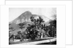 Botanical Gardens and Mount Corcovado, Rio De Janeiro, Brazil by John L Stoddard