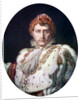 Napoleon I in his coronation robe by Anonymous