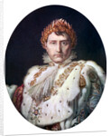 Napoleon I in his coronation robe by Anonymous