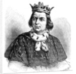 Charles V by Hildirbrand