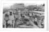 Marine Parade, Brighton, East Sussex by Anonymous