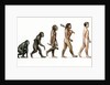 Evolution of Man by Karen Humpage