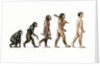 Evolution of Man by Karen Humpage
