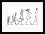 Evolution of Man by Karen Humpage