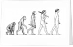 Evolution of Man by Karen Humpage