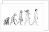 Evolution of Man by Karen Humpage