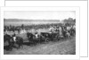 The king and queen arriving at the Leopardstown races, Dublin, July 1911 by Anonymous
