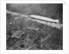 The airship 'Graf Zepplin' over London, August 1931 by Anonymous