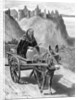My Donkey an Me by John Carey