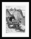 My Donkey an Me by John Carey