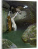 In the Grotto by Roessler