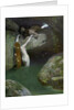 In the Grotto by Roessler