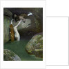 In the Grotto by Roessler