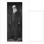 Sir Joseph Swan (1828-1914), English physicist and chemist by D Cameron-Swan