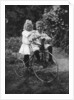 Two children on a tricycle by CW Perry