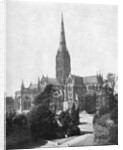 Salisbury Cathedral by FGO Stuart