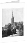 Salisbury Cathedral by FGO Stuart