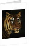Tiger study by Anonymous