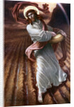 The Sower by Anonymous